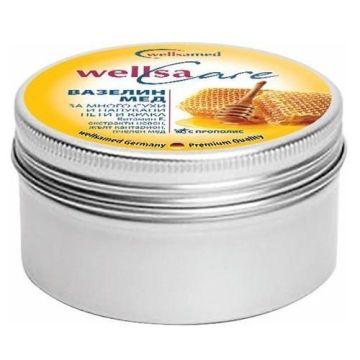 Wellsamed  Крем вазелин с мед  Wellsacare за много сухи и напукани пети и крака x50 мл