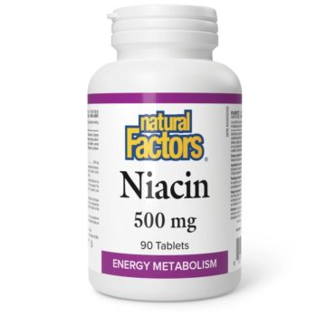 Витамин B3 500 мг х90 таблетки Natural Factors