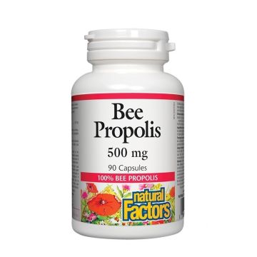 Bee Propolis Прополис 500 mg х90 капсули Natural Factors