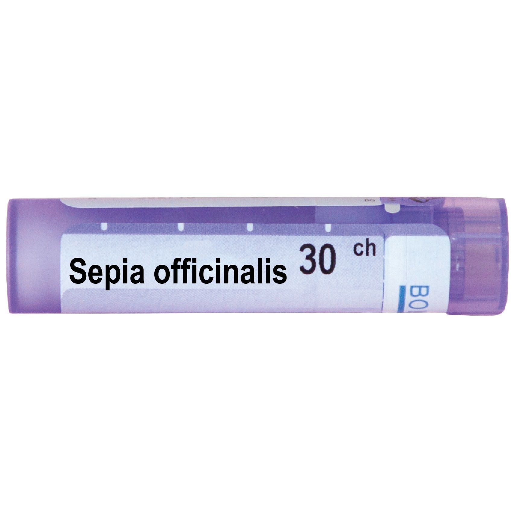 Boiron Сепиа Официналис 30CH