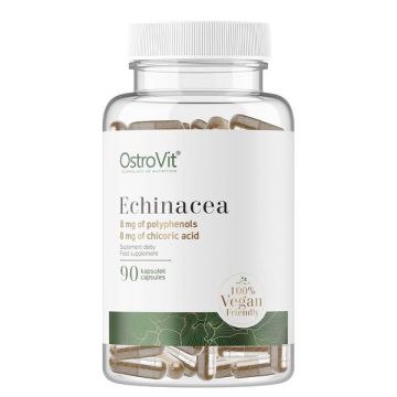 Ехинацея 400 mg, веган х90 капсули OstroVit