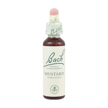Bach Mustard Моноесенция Полски синап x20 мл