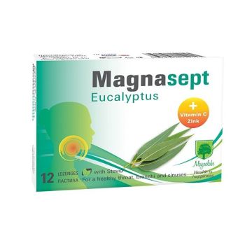 Магнасепт Евкалипт х12 пастила Magnalabs