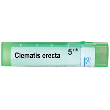 Boiron Клематис Еректа 5CH