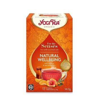 Yogi Tea Био Аюрведичен чай Естествено благоденствие x17 пакетчета