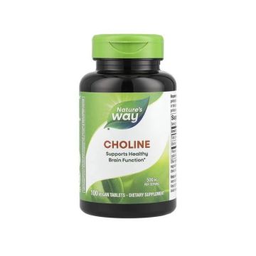 Холин 500 мг х100 таблетки Nature’s Way