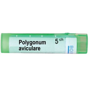 Boiron Полигонум Авикуларе 5CH