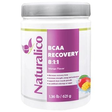 ВСАА Рековъри 8:1:1 Манго х621 грама Naturalico