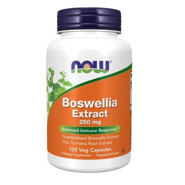 Босвелия екстракт 250 мг x120 капсули, Now Foods