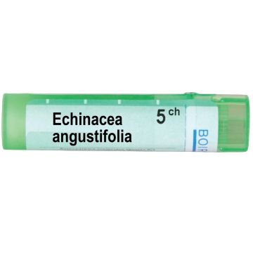 Boiron Ехинацея ангустифолия 5СН