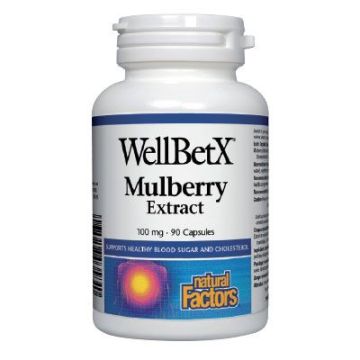 WellBetX Бяла черница 100мг х90 капсули Natural Factors