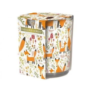 Bispol Ароматна свещ Fabulous Forest x100 грама