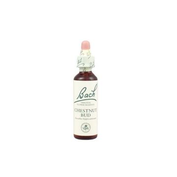 Bach Chestnut bud Моноесенция Кестенова пъпка x20 мл