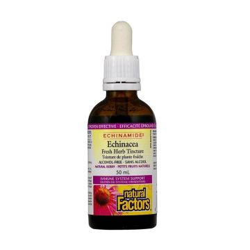 Ехинация Билкова тинктура х50 мл Natural Factors