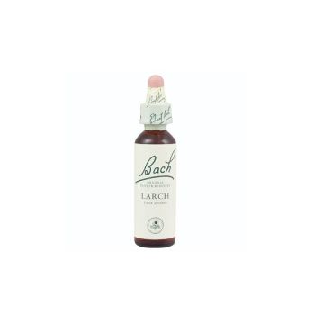 Bach Larch Моноесенция Лиственица x20 мл