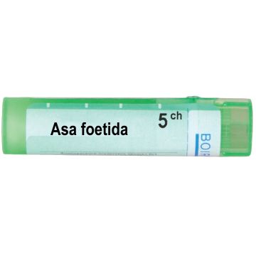 Boiron Аса Фоетида 5CH