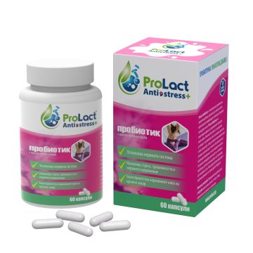 Antistress+ Пробиотик за намаляване на стреса х60 капсули ProLact