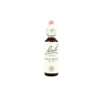 Bach Wild Rose Моноесенция Шипка x20 мл