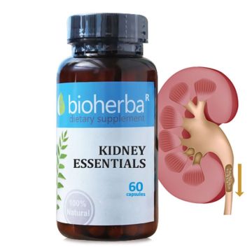Билкова формула за бъбреци х60 капсули Bioherba