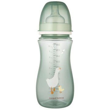 Canpol babies Easy Start Goose Шише против колики с широко гърло 12м+ x300 мл, зелено - 35/246