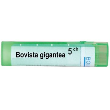 Boiron Бовиста Гигантеа 5CH