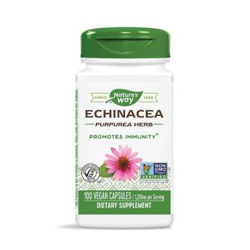 Ехинацея (стрък) за имунната система 400мг х100 капсули Nature's Way