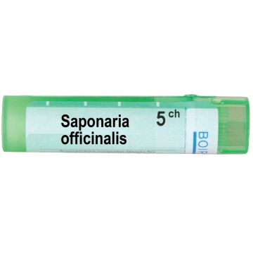 Borion Сапонариа Официналис 5CH