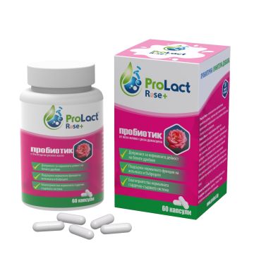 Rose+ Пробиотик х60 капсули ProLact