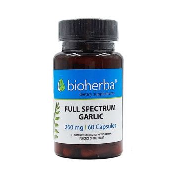 Чесън 260мг х60 капсули Bioherba