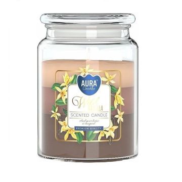 Bispol Wild Vanilla Ароматна свещ Ванилия x500 грама