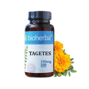 Турта 190мг х100 капсули Bioherba
