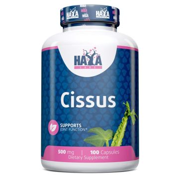 Cissus При костни и хрущялни увреждания 500 мг х100 капсули Haya Labs