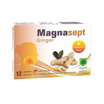 Магнасепт Джинджифил х12 пастила Magnalabs