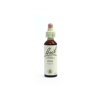Bach Pine Моноесенция Бял бор x20 мл